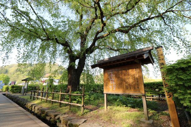 角館武家屋敷