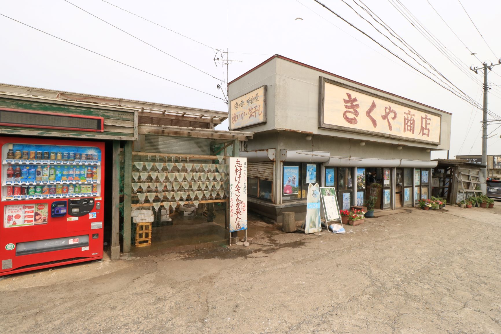 きくや商店