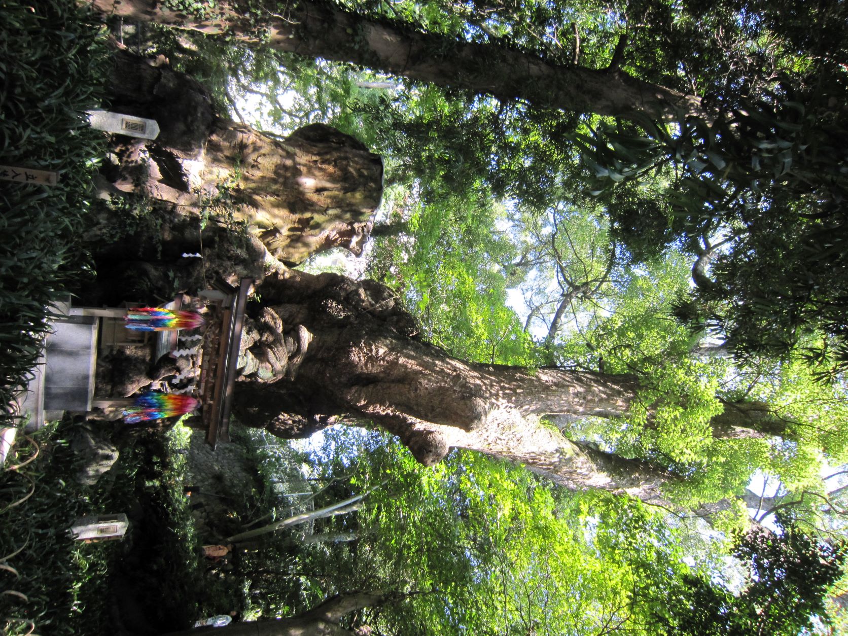 来宮神社