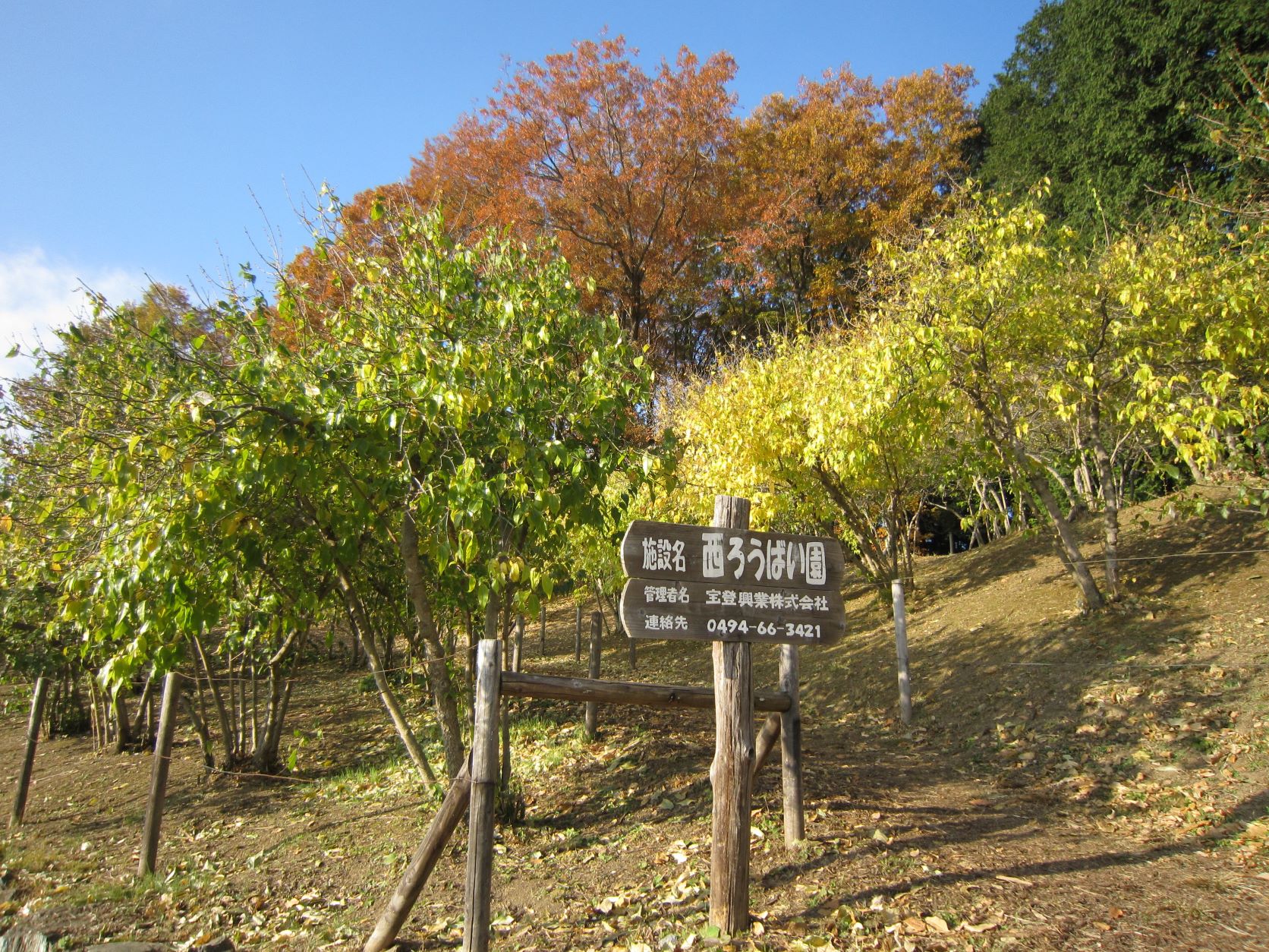寶登山神社,西ろうばい園