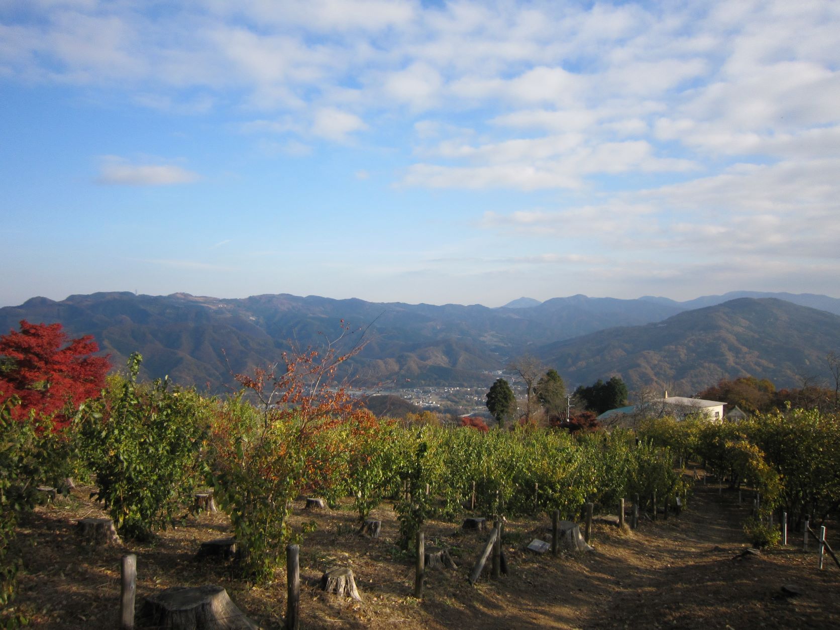 寶登山神社