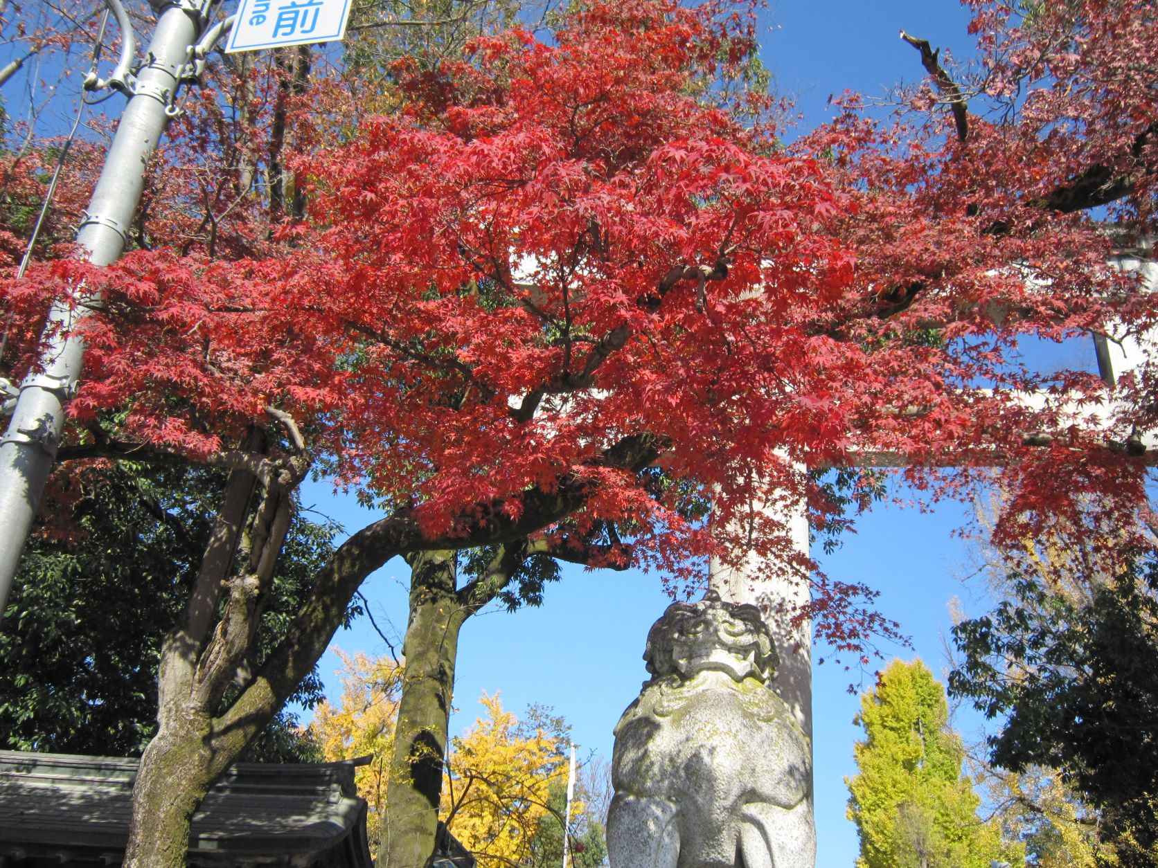 秩父神社