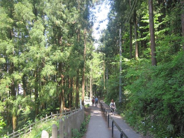 羊山公園,松坂峠