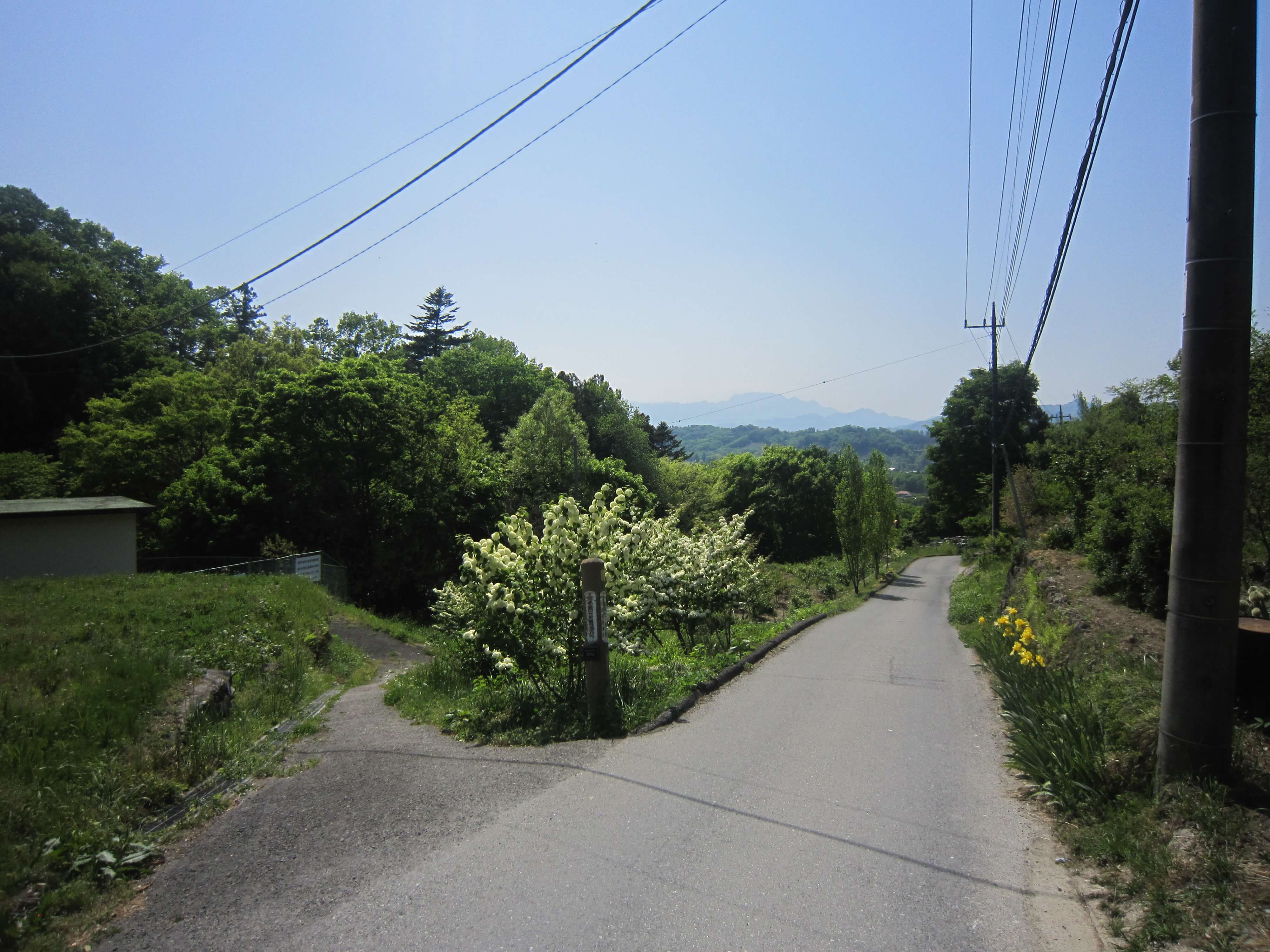 聖神社,和同採掘露天掘跡