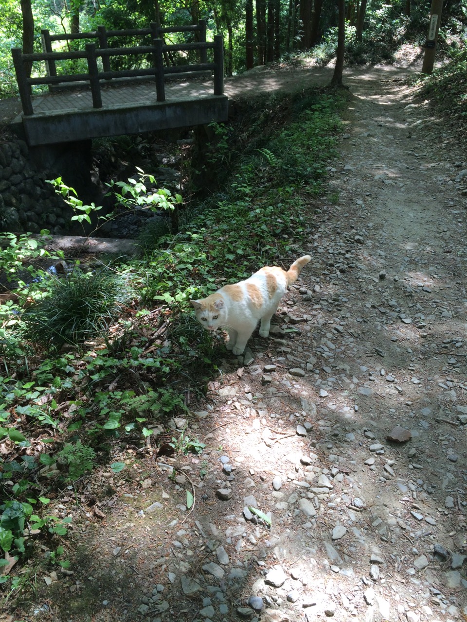 聖神社,和同採掘露天掘跡