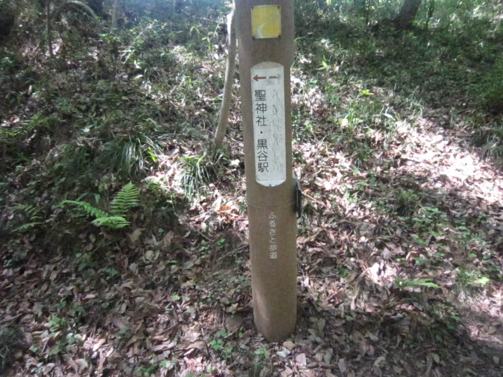 聖神社,和同採掘露天掘跡