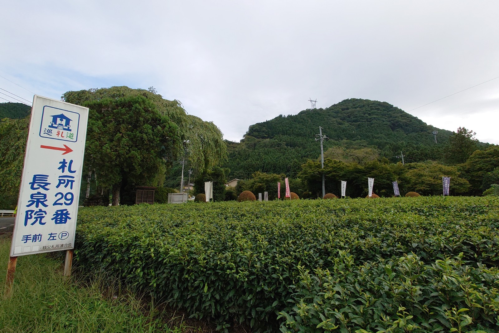 長泉院