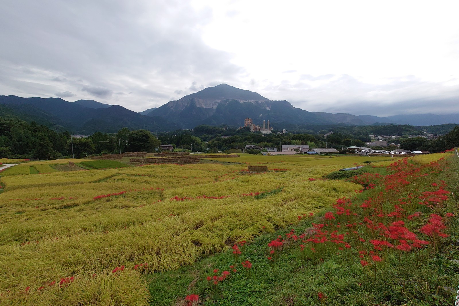 寺坂棚田,武甲山