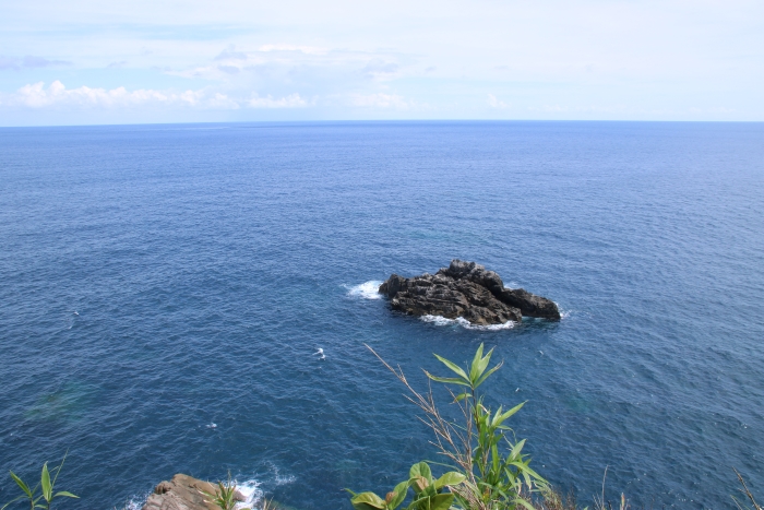 不動岩,足摺岬