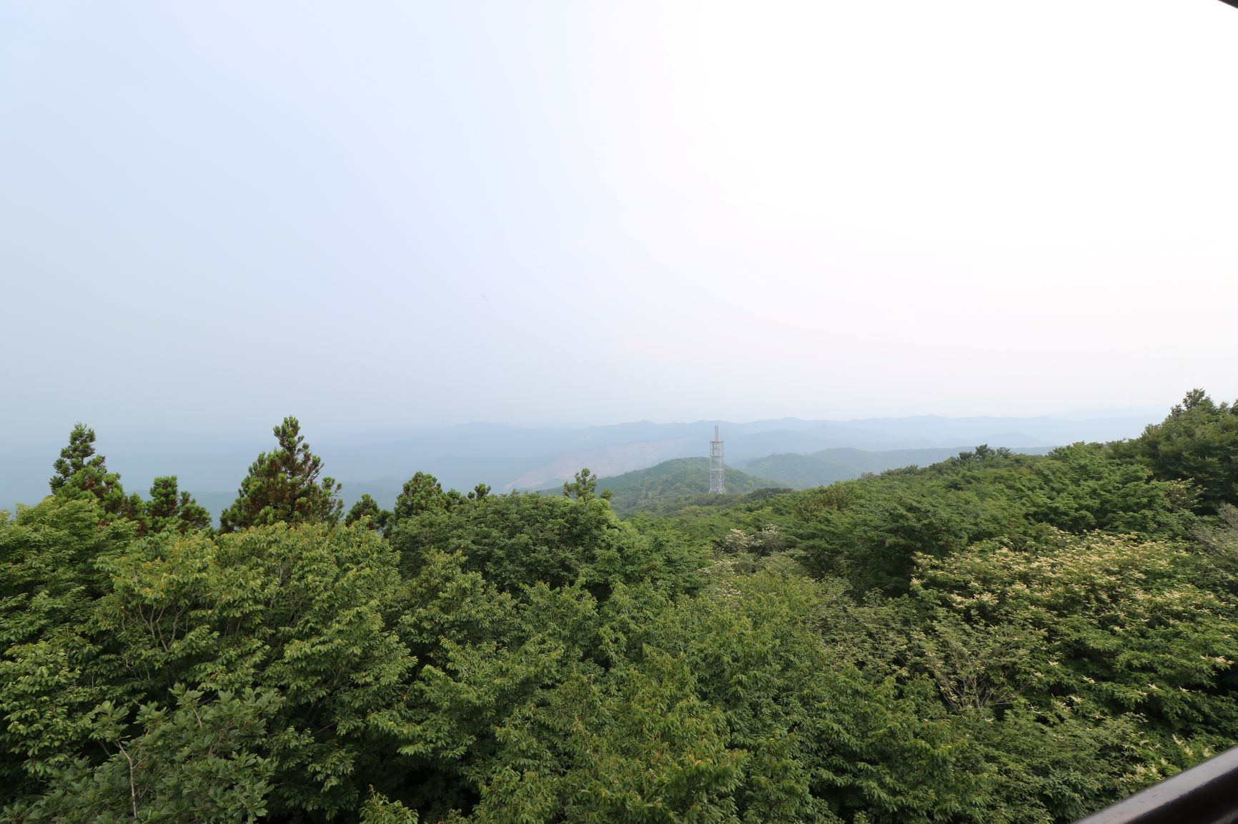 八溝の治山