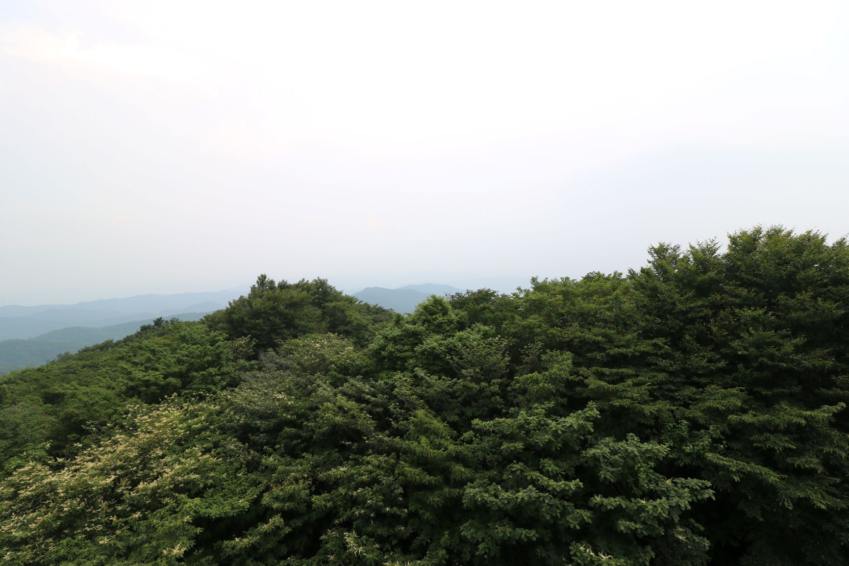 八溝の治山