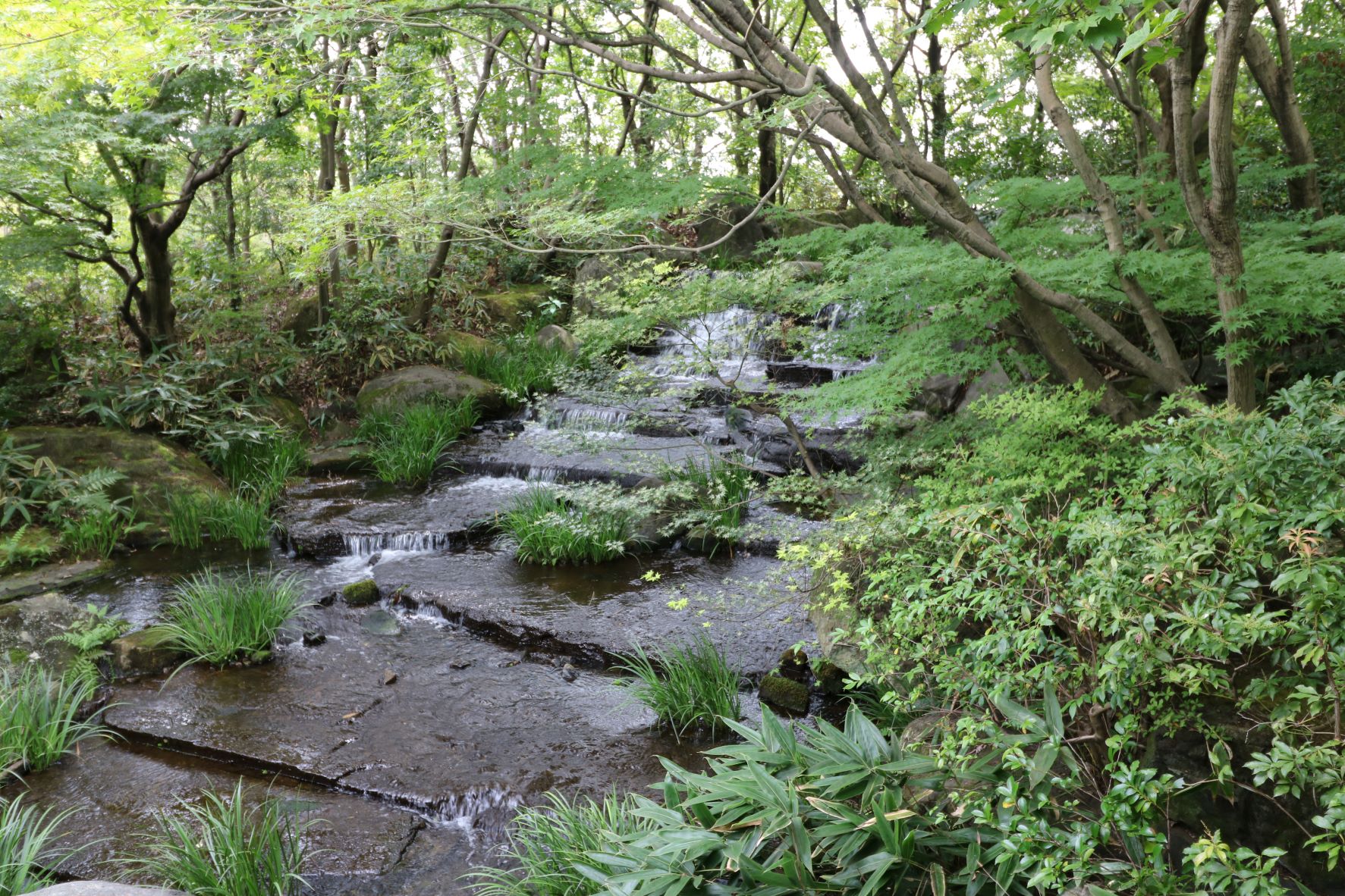 階段状水平段落ち流れ滝,好古園