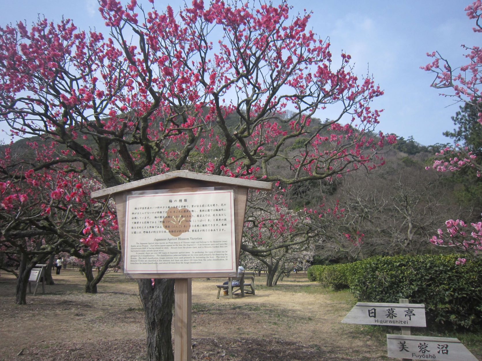 栗林公園