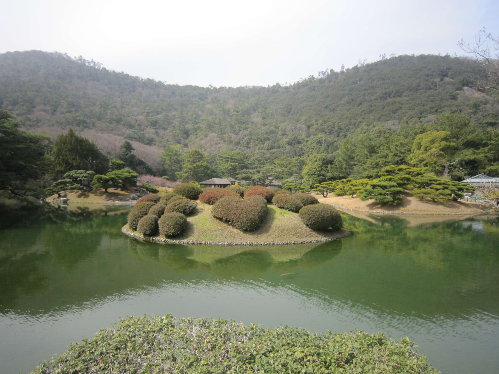 恋ツツジ,栗林公園