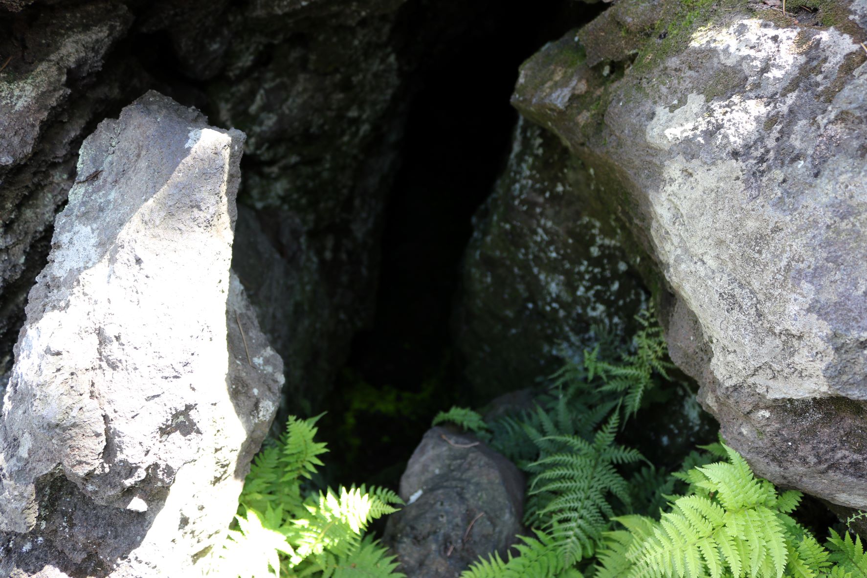 鬼押出し園,ヒカリゴケ自生地