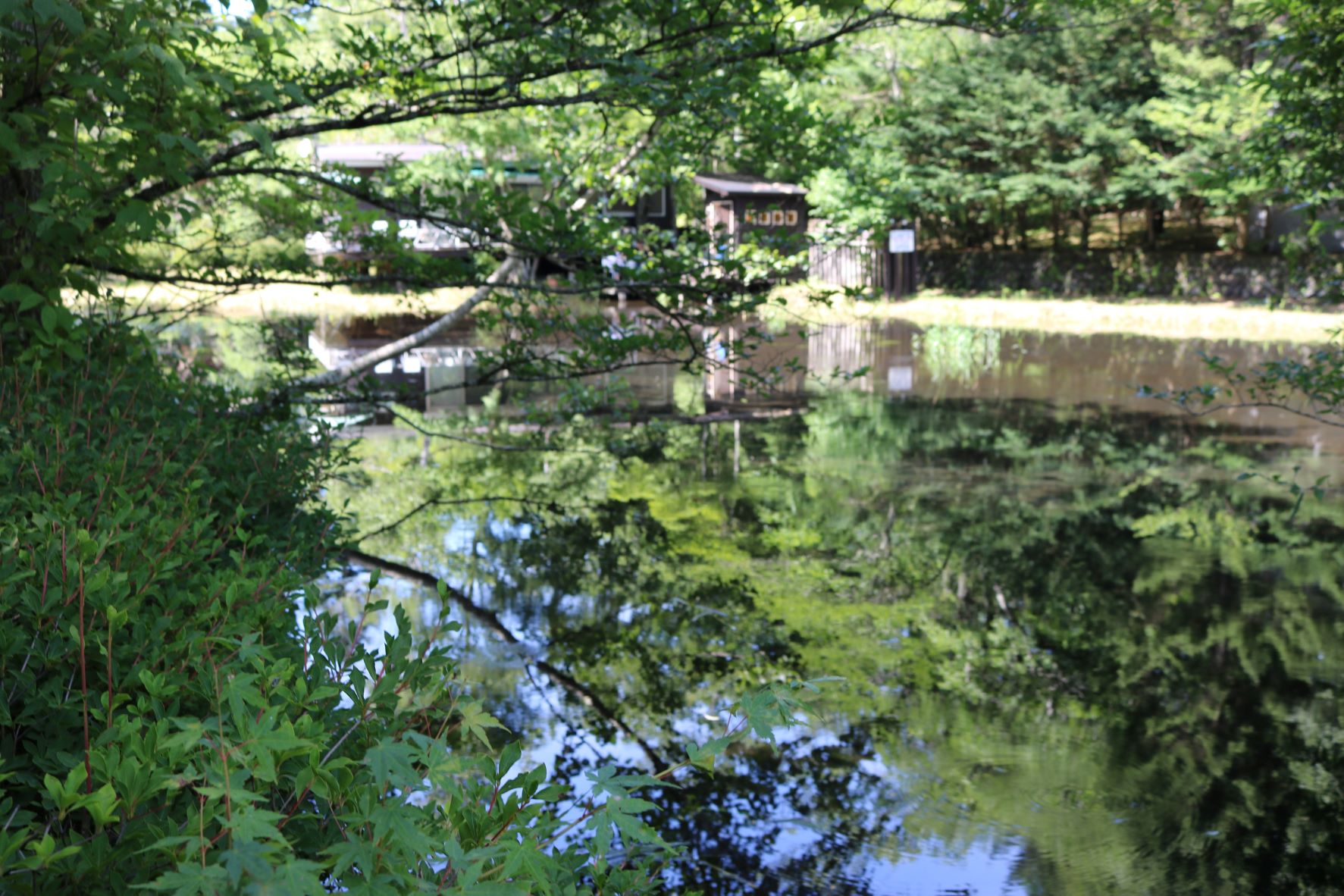 雲場池