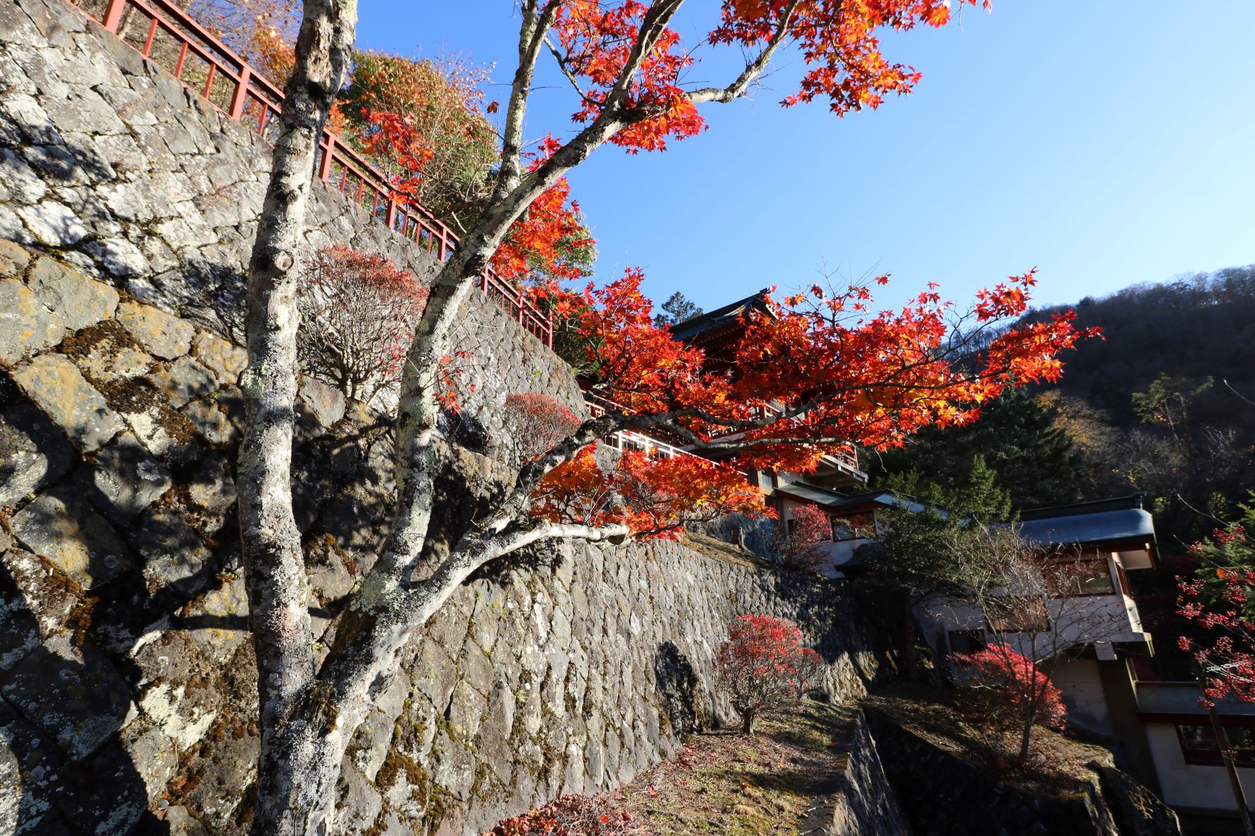 中禅寺