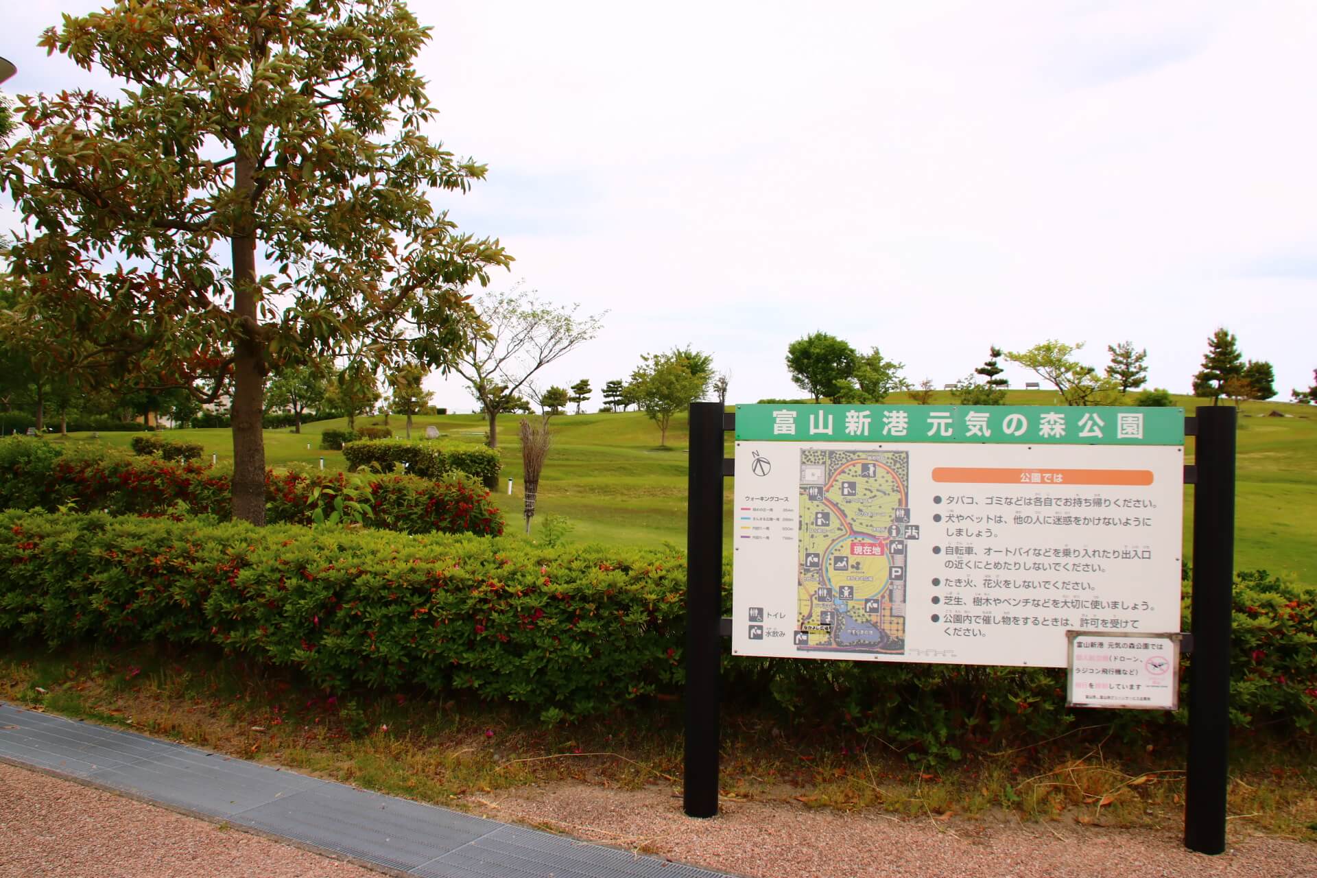 富山新港元気の森公園