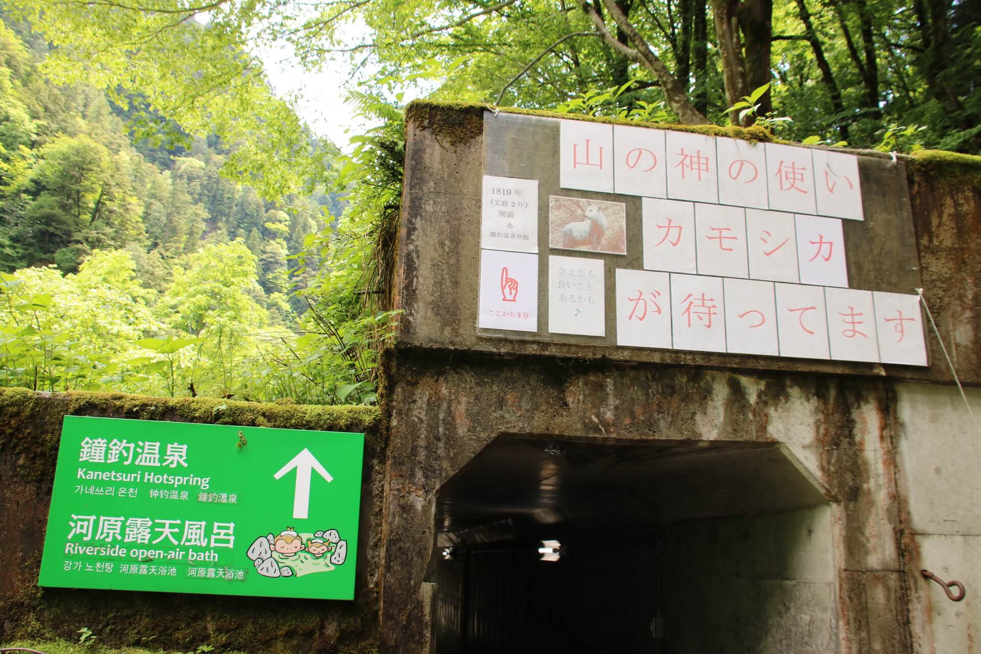 鐘釣駅,黒部峡谷鉄道