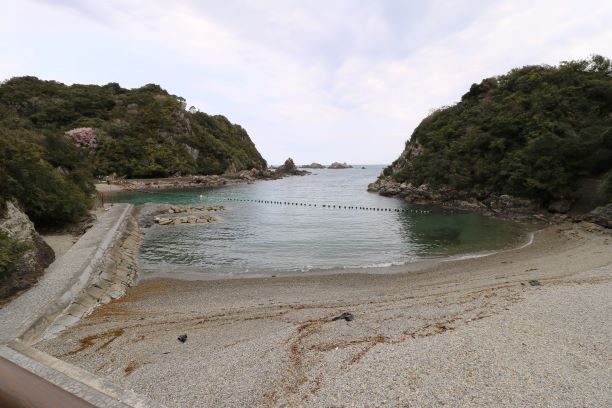 太地町,追い込み漁