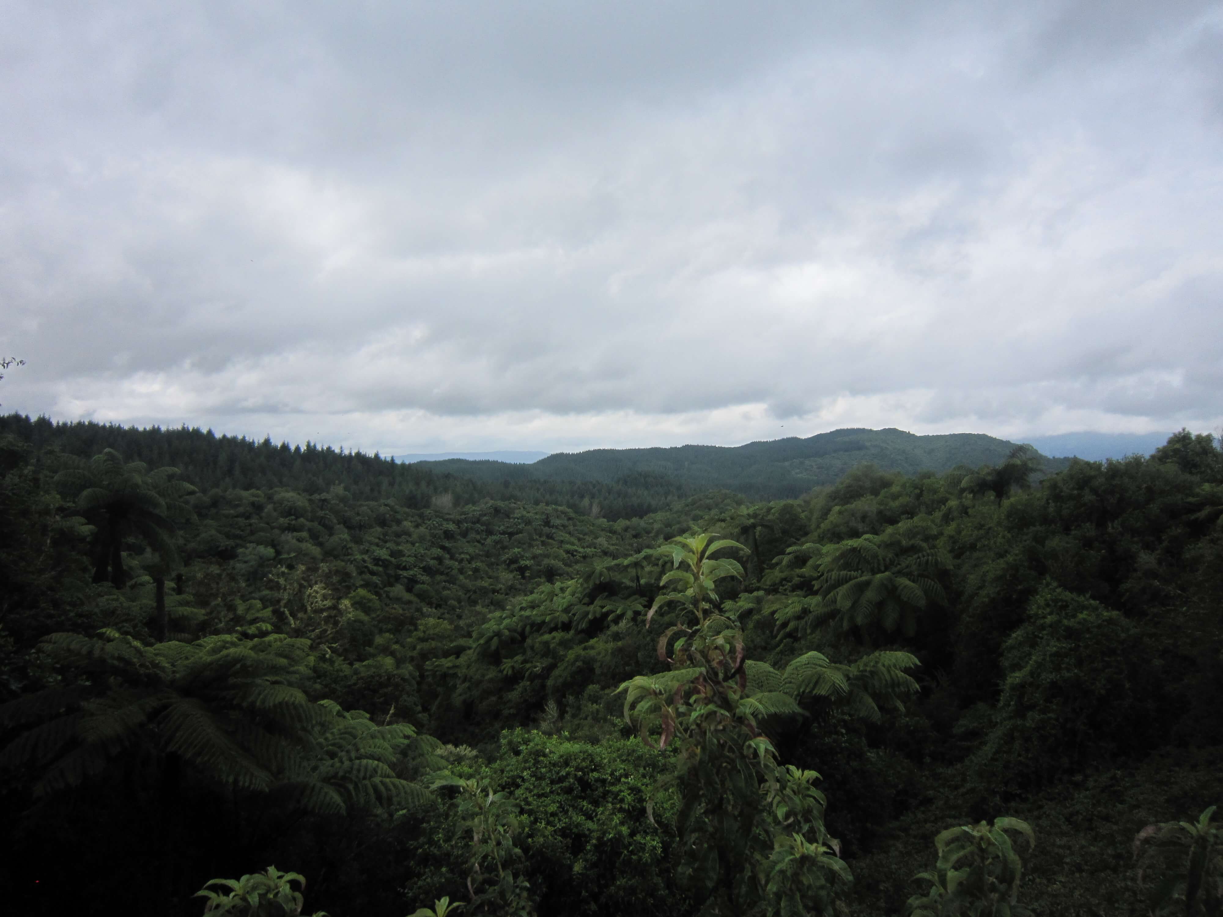 ワイマング火山渓谷