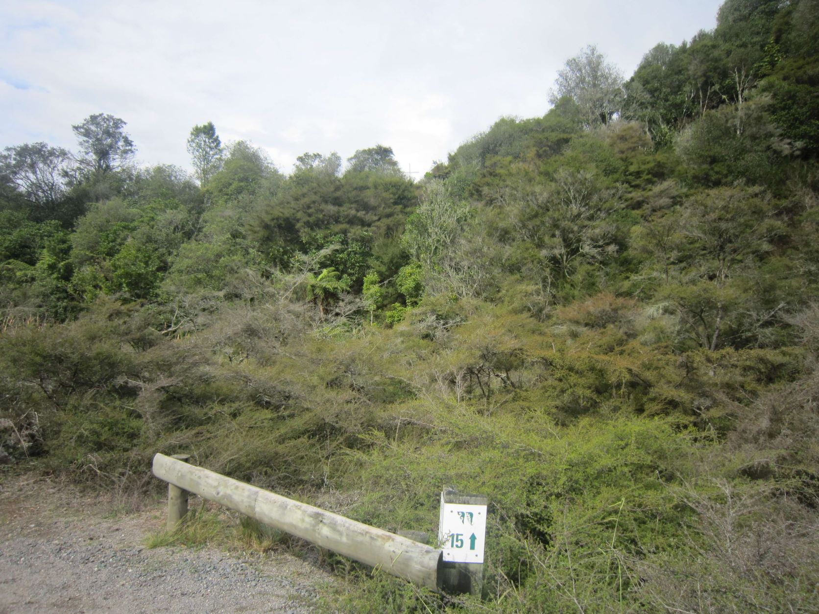 ワイマング火山渓谷