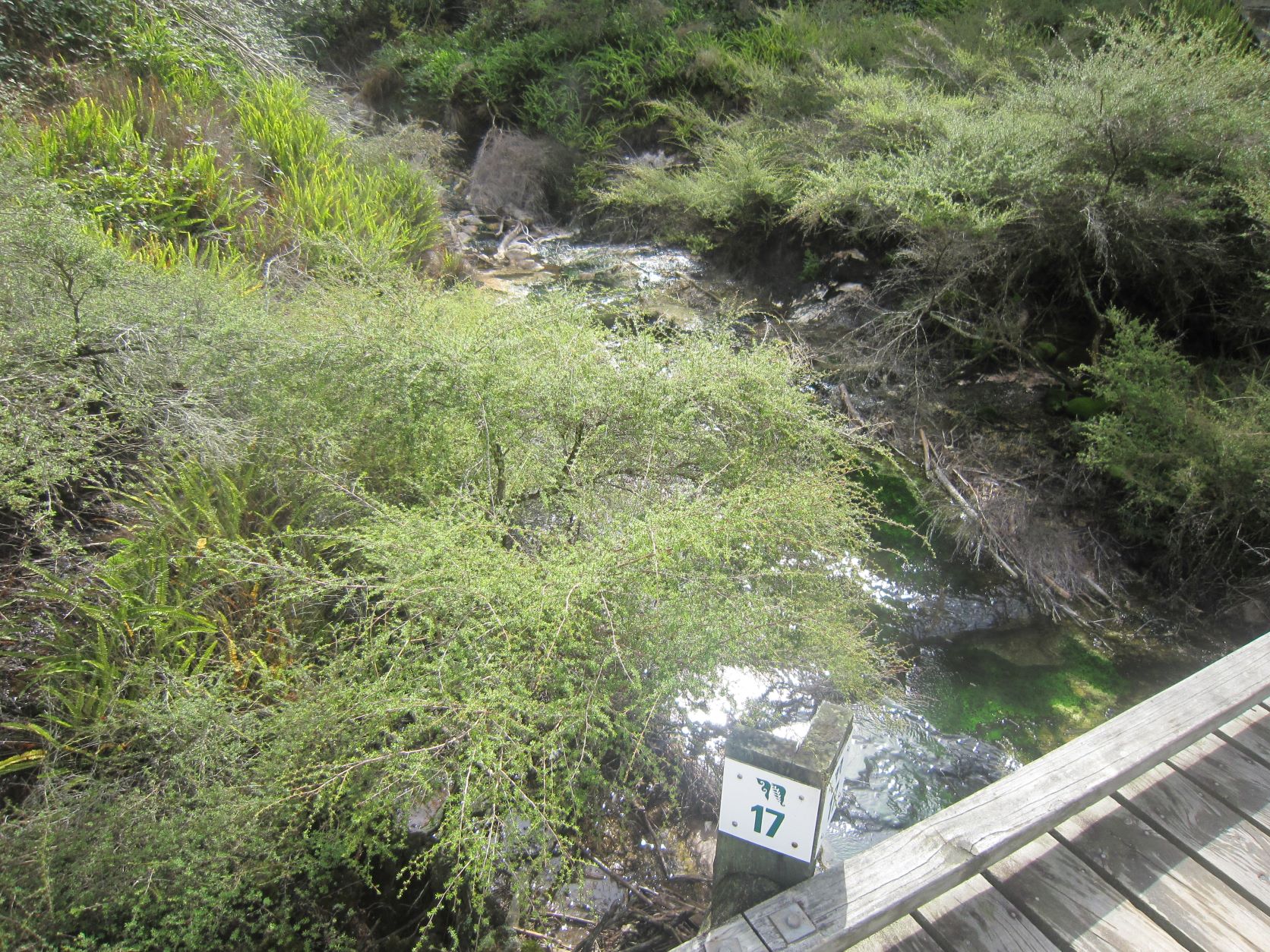 ワイマング火山渓谷