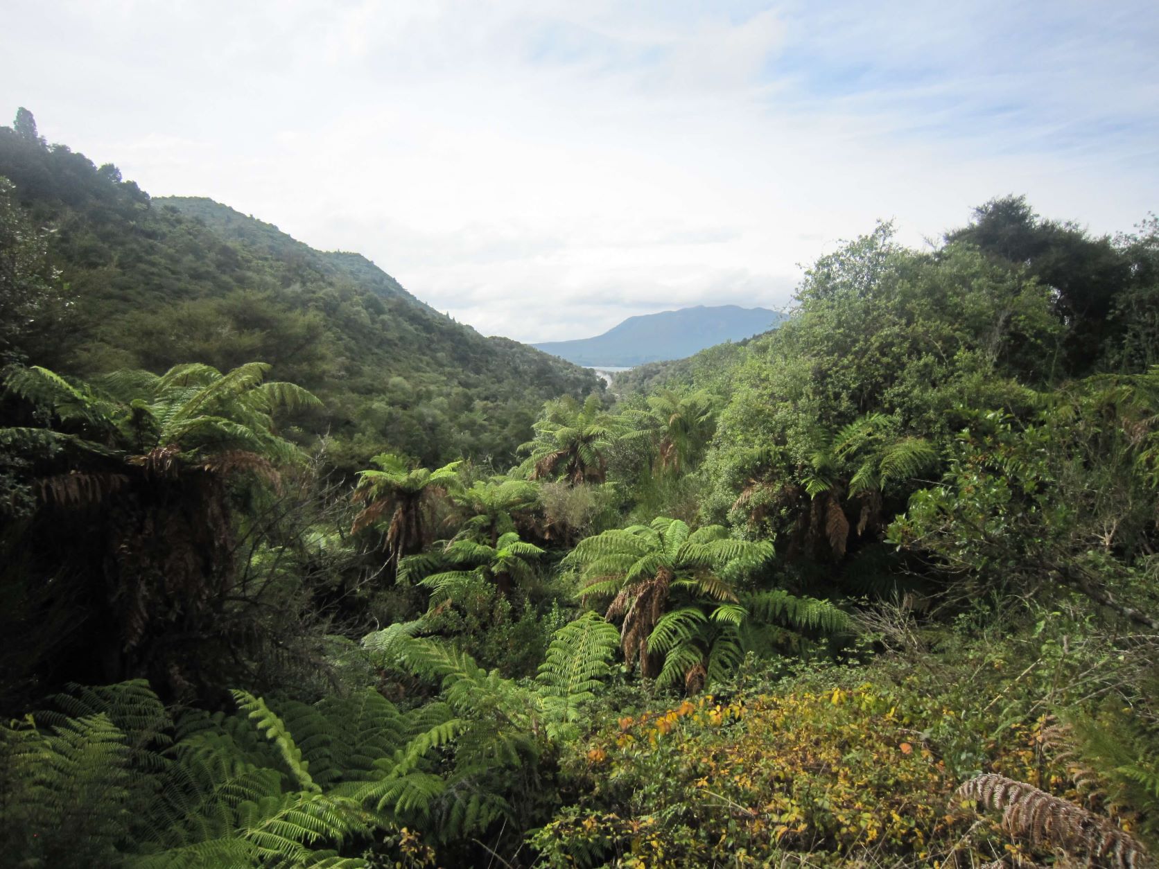 ワイマング火山渓谷