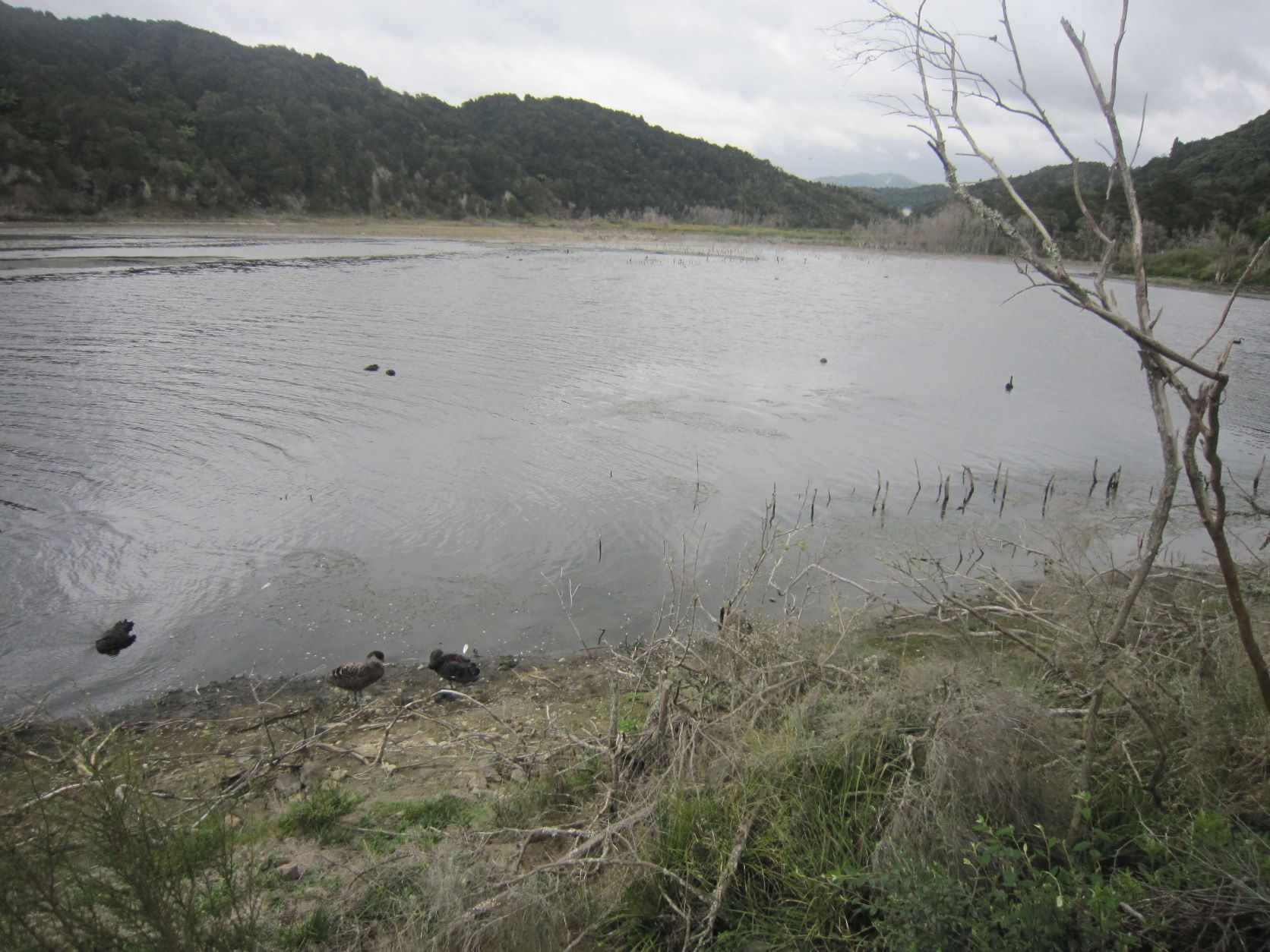 トマハナ湖,ワイマング火山渓谷